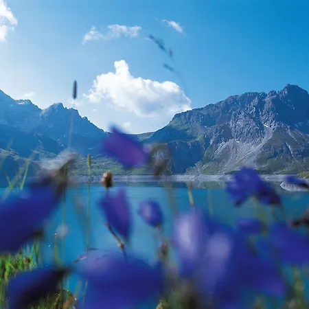 Lägenhet Zentral De Luxe By A-appartments Brand (Vorarlberg)